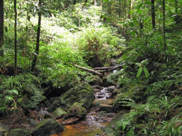 සිත්ගත්ස්ථාන